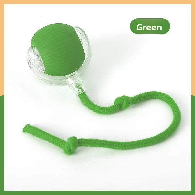 Automatic walking toy ball