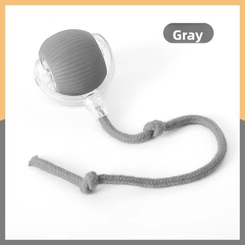 Automatic walking toy ball