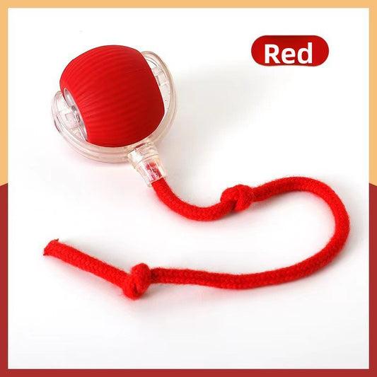 Automatic walking toy ball