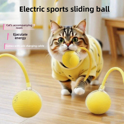 Automatic walking toy ball