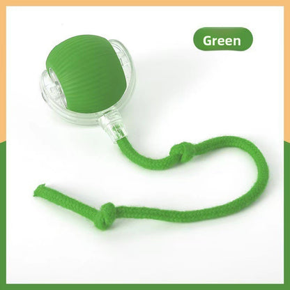 Automatic walking toy ball